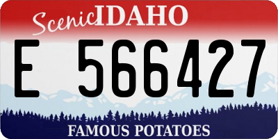 ID license plate E566427