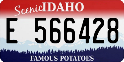 ID license plate E566428
