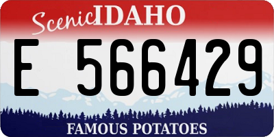 ID license plate E566429