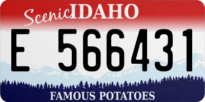 ID license plate E566431