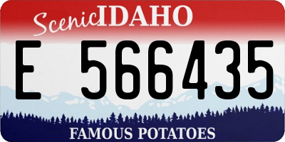ID license plate E566435