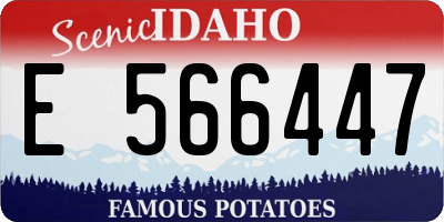 ID license plate E566447