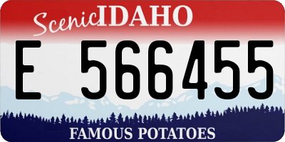 ID license plate E566455