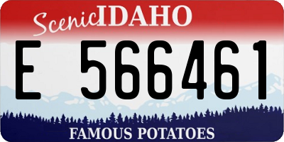 ID license plate E566461