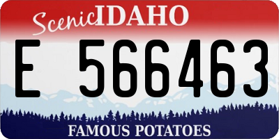 ID license plate E566463