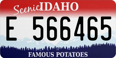 ID license plate E566465