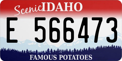 ID license plate E566473