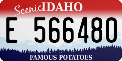 ID license plate E566480
