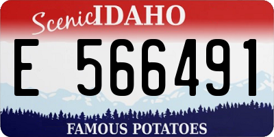 ID license plate E566491