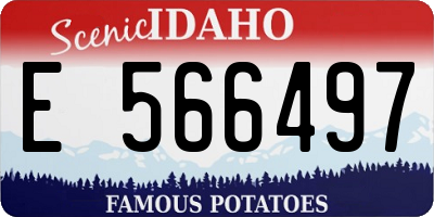 ID license plate E566497