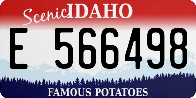 ID license plate E566498