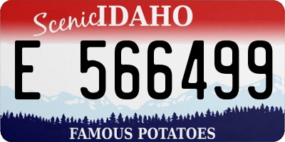 ID license plate E566499