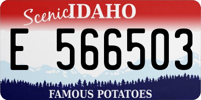 ID license plate E566503