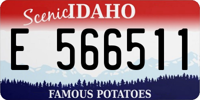 ID license plate E566511