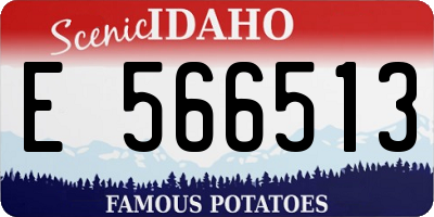 ID license plate E566513