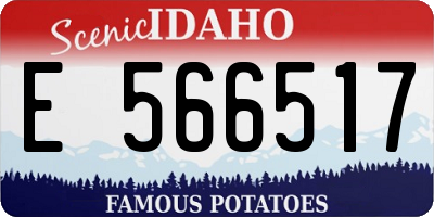 ID license plate E566517