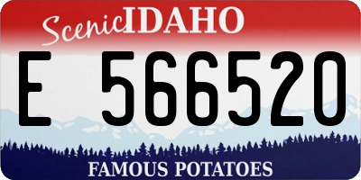 ID license plate E566520