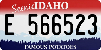 ID license plate E566523