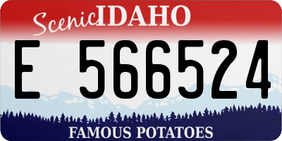 ID license plate E566524