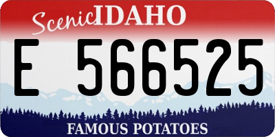 ID license plate E566525