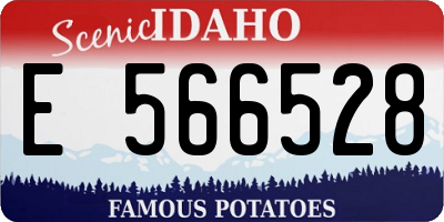 ID license plate E566528