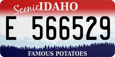 ID license plate E566529