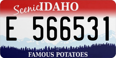 ID license plate E566531
