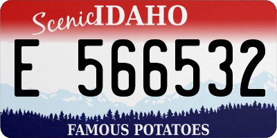 ID license plate E566532