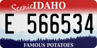 ID license plate E566534