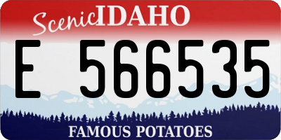 ID license plate E566535