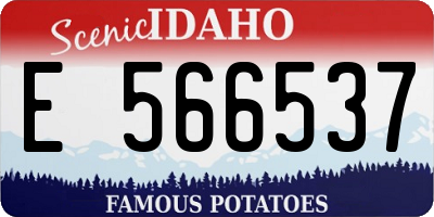 ID license plate E566537