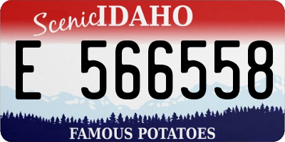 ID license plate E566558
