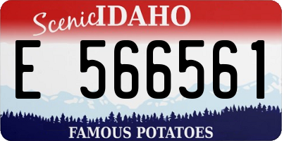 ID license plate E566561