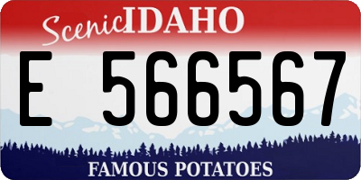 ID license plate E566567