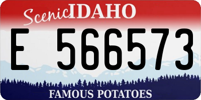 ID license plate E566573