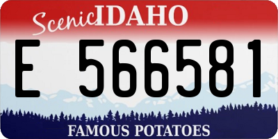 ID license plate E566581