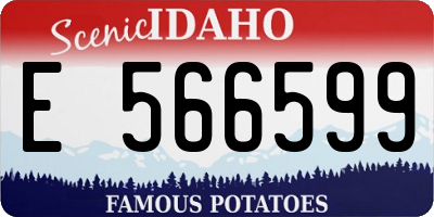 ID license plate E566599