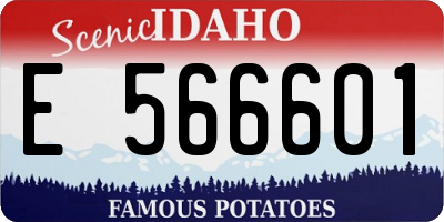ID license plate E566601