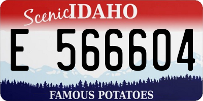 ID license plate E566604