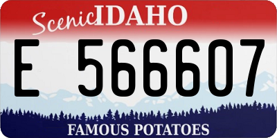 ID license plate E566607