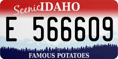 ID license plate E566609