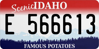 ID license plate E566613