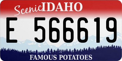 ID license plate E566619
