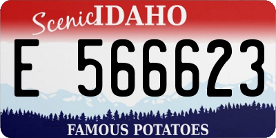 ID license plate E566623
