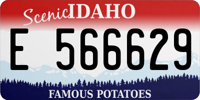 ID license plate E566629