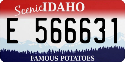 ID license plate E566631