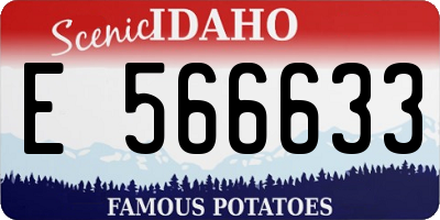 ID license plate E566633