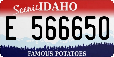 ID license plate E566650
