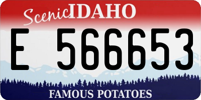ID license plate E566653