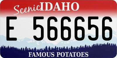 ID license plate E566656